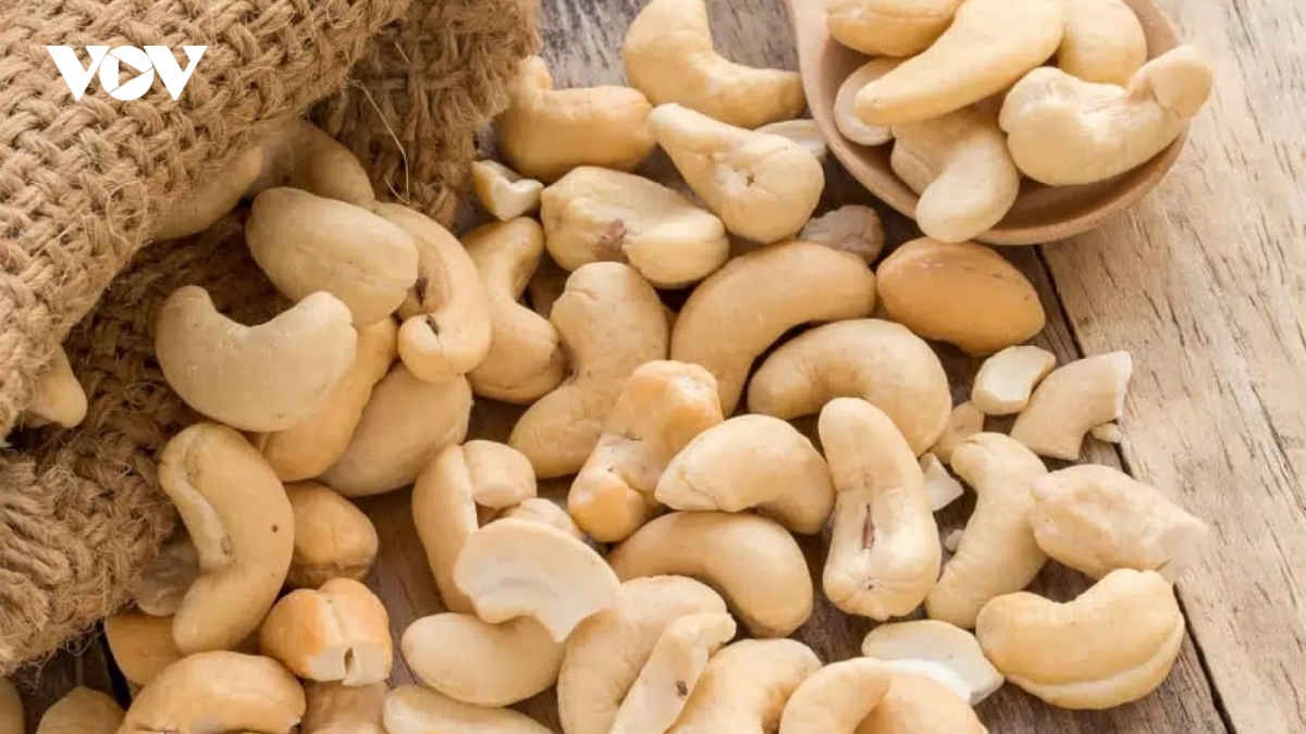 Cashew exports hit record high of over US$300 million in August